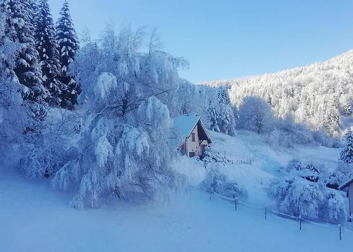 Studio Chaleureux A Villard De Lans